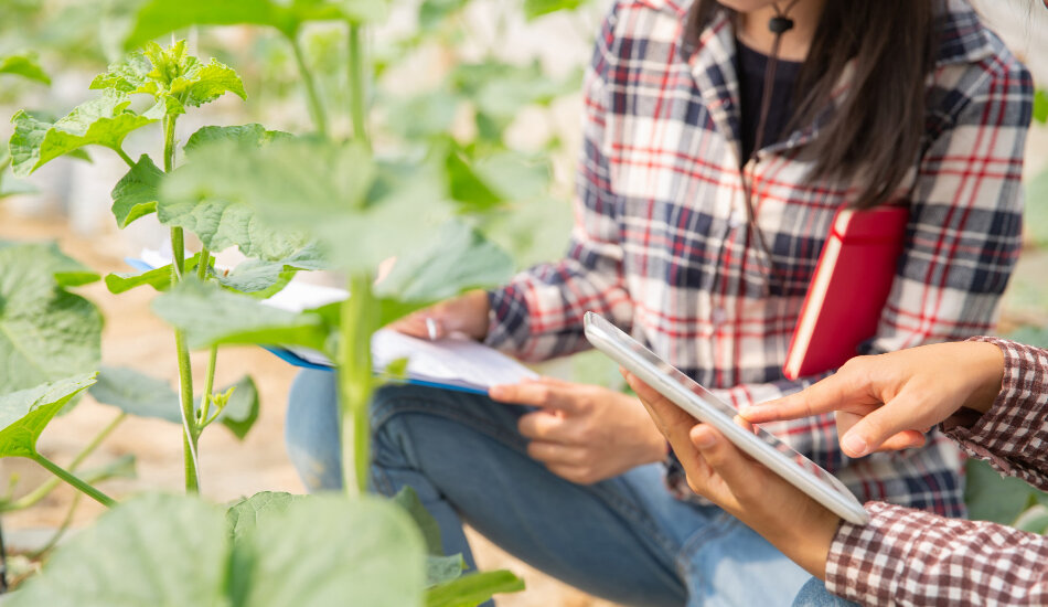 Quanto ganha um engenheiro agrônomo em fazendas Voomp Blog